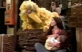 Big Bird Learns About Breastfeeding